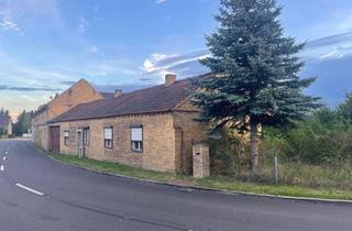 Haus kaufen in Zallmsdorf 12a, 06895 Leetza, Gutshof in ländlicher Lage