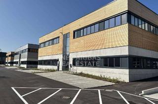 Büro zu mieten in 85551 Kirchheim, Modernste Produktionshalle mit Büroflächen - direkt an der S-Bahn