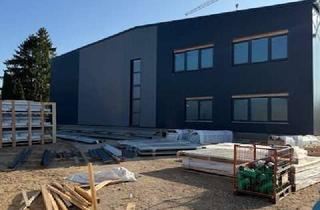 Gewerbeimmobilie mieten in 25451 Quickborn, moderne Lager- / Produktions- / Serviceflächen