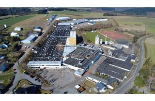 Gewerbeimmobilie kaufen in 56869 Mastershausen, Gewerbeobjekt: Lager, Produktion, Hochregallager – Provisionsfrei, Nähe 56288 Kastellaun