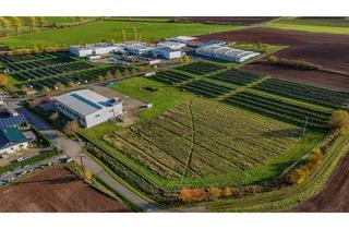 Gewerbeimmobilie kaufen in 98646 Straufhain, Gewerbeimmobilie (ca. 1.800 m² Gewerbefl.) in Top-Zustand mit Erweiterungspotenzial in ruhiger Lage