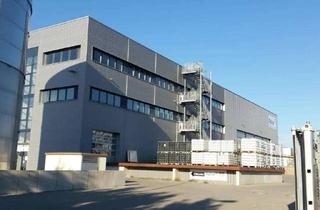Gewerbeimmobilie mieten in 64584 Biebesheim am Rhein, TOP-Anbindung: Multifunktionale Halle mit Erweiterungsoption - HR 4102