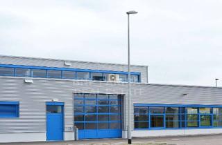 Büro zu mieten in Frankfurter Ring, 80807 Schwabing-Freimann, Produktionshalle mit Büro am Frankfurter Ring