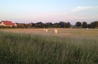 Grundstück zu kaufen in Wassermühlenweg 25, 38444 Heiligendorf, Attraktives Wiesen/ Weideland für Tierhaltung oder Freizeitnutzung