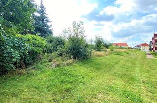 Grundstück zu kaufen in 06766 Bitterfeld-Wolfen, Wohnen im Musikerviertel: 634 m² – Hier schlägt das Herz Ihres Traumhauses!