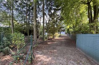 Grundstück zu kaufen in Zeisigstraße, 16348 Wandlitz, Fantastisches Baugrundstück in der Nähe vom Wandlitzer See / umgeben von Vogelgezwitscher & Wald