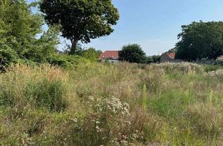 Grundstück zu kaufen in Goldberger Strasse 63, 18273 Güstrow, Baugrundstück in Bauhof