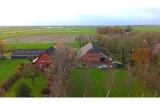 Lager mieten in 26844 Jemgum, Gepflegte Freizeit-Pferdehalle in Jemgum