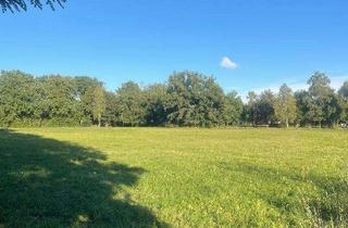 Gewerbeimmobilie kaufen in 06905 Bad Schmiedeberg, BAD SCHMIEDEBERG * GROSSZÜGIGES BAUGRUNDSTÜCK (B/SO) * DIREKT AM KURPARK von BAD SCHMIEDEBERG