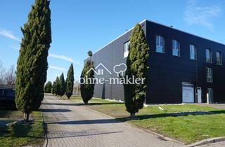 Büro zu mieten in 44575 Castrop-Rauxel, Helles Loft-Büro mit raumhohen Fenstern - Die ideale Umgebung für innovative Start-ups