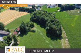 Haus kaufen in 84180 Loiching, 11.175 m² Freiheit – idyllisches Wohnen in Loiching/Wendelskirchen