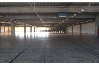 Gewerbeimmobilie mieten in 63322 Rödermark, Lager/ Logistik - Anbindung an die B459 - 2x Lastenaufzug