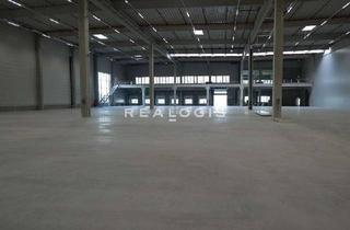 Gewerbeimmobilie mieten in 65830 Kriftel, Lager/ Logistik - 11,60 m UKB - Anbindung an die A3