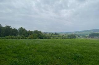 Grundstück zu kaufen in 94166 Stubenberg, Idyllisches Freizeitgrundstück mit Altbestand – Natur genießen, Ruhe finden