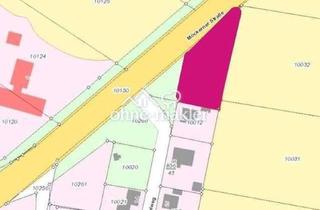 Immobilie kaufen in Mittelweg, 39175 Biederitz, Baugrundstück bei Magdeburg nur 59,- € / m². Bauträgerfrei !