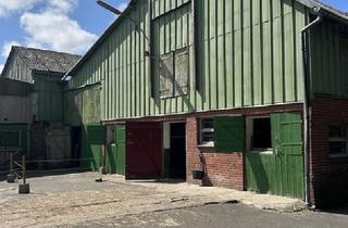 Lager kaufen in 25715 Eddelak, Bauernhof mit Wirtschaftsgebäuden an der Nordseeküste, Ideal zur Tierhaltung.