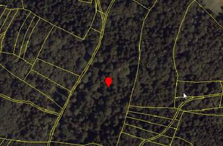 Immobilie kaufen in 94541 Grattersdorf, Wald zwischen Grattersdorf und Lalling