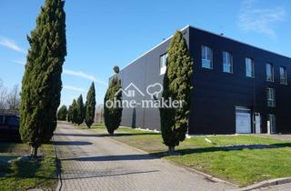 Büro zu mieten in 44575 Castrop-Rauxel, Helles Loft-Büro mit raumhohen Fenstern - Die ideale Umgebung für innovative Start-ups