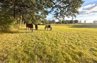 Lager kaufen in 27616 Beverstedt, Beverstedt: Resthof in Alleinlage, 2001 neu errichtet, 3-Parteien-Haus mögl., 1,47ha Grundstück, arrondierte Weiden, Nebengebäude, OIN26525