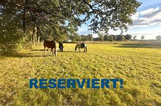 Lager kaufen in 27616 Beverstedt, Beverstedt: Resthof in Alleinlage, 2001 neu errichtet, 3-Parteien-Haus mögl., 1,47ha Grundstück, arrondierte Weiden, Nebengebäude, OIN26525