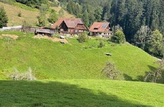 Mehrfamilienhaus kaufen in 77709 Oberwolfach, Oberwolfach Walke - Traumhaftes Grundstück in Alleinlage mit Mehrfamilienhaus und historischen Bauernhaus