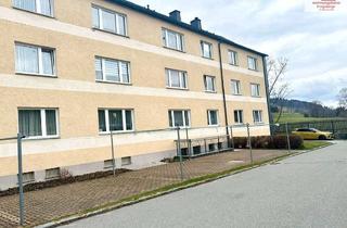 Wohnung kaufen in 09465 Sehmatal-Cranzahl, 3-Raum-Wohnung mit Garage - ruhige Lage kurz vor Oberwiesenthal - Sehmatal-Neudorf!!