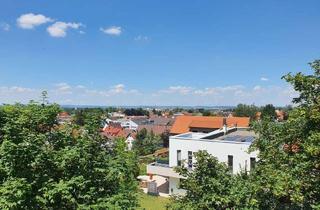 Wohnung mieten in Meisenweg, 88471 Laupheim, Über den Dächern Laupheims: Zentrale Wohnung mit zweieinhalb Zimmern und sonnigem Balkon
