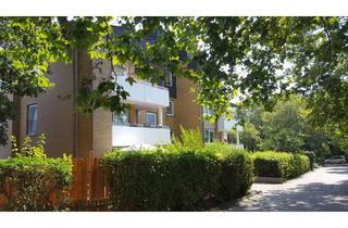 Wohnung mieten in Schauenroth 60, 49124 Georgsmarienhütte, GM-Hütte - Schöne renovierte 3-ZKB mit Balkon, Terrasse und Garten