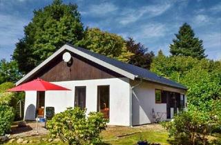 Haus kaufen in 24354 Kosel, Ebenerdig wohnen - gemütlicher Bungalow mit schönem Grundstück inklusive