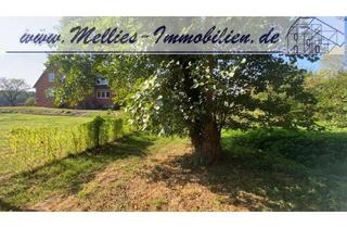 Haus kaufen in 29468 Bergen, Zweifamilienhaus im Wendland