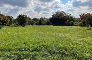 Doppelhaushälfte kaufen in 75245 Neulingen, Doppelhaushälfte auf Traumgrundstück mit Blick ins Grüne - Neubau am Ortsrand