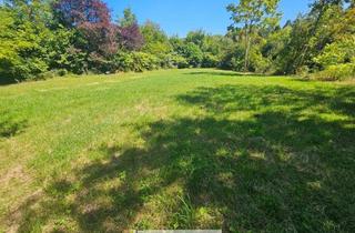 Grundstück zu kaufen in 66333 Völklingen, Baugrundstück nach § 34 BauGB im Völklinger Stadtpark zu verkaufen. Ruhige Lage.