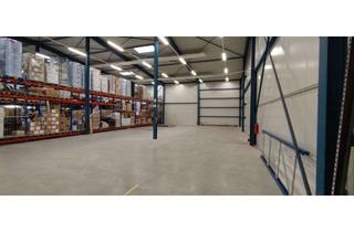 Gewerbeimmobilie mieten in 59929 Brilon, Warmhalle in Brilon 360 m² sofort bezugsfrei