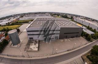 Büro zu mieten in 64584 Biebesheim, WGK III-LAGERUNG ✓ HALLENHÖHE 13,00 m ✓ Lager-/Logistik (6.000 m²) & Büro-/Sozial (450 m²)