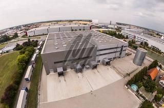 Büro zu mieten in 64579 Gernsheim, WGK III-LAGERUNG ✓ HALLENHÖHE 13,00 m ✓ Lager-/Logistik (6.000 m²) & Büro-/Sozial (450 m²)