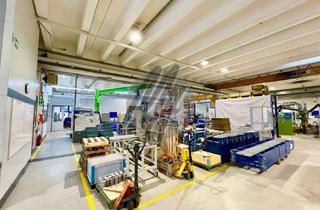 Gewerbeimmobilie kaufen in 63457 Hanau, KAPITALANLAGE ✓ Grundstück (3.000 m²) mit Lager (1.800 m²) & Büro (800 m²)