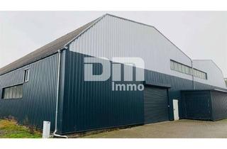 Gewerbeimmobilie mieten in Im Grund 6 -, 34233 Fuldatal, Lagerhallen 25 bis 150 m2 variabel zu vermieten 300 m von der Stadt Kassel entfernt in Fuldatal