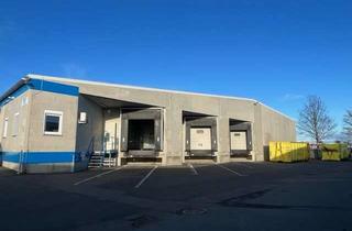 Gewerbeimmobilie mieten in Wiesenstraße, 04683 Belgershain, Gepflegte Umschlaghalle zu vermieten – nahe A38, A14, A72