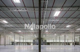 Gewerbeimmobilie mieten in 63526 Erlensee, hochwertiger Logistikneubau | ca. 30.000 m² Fläche | Bezug: Anfang 2026 | WGK-fähig