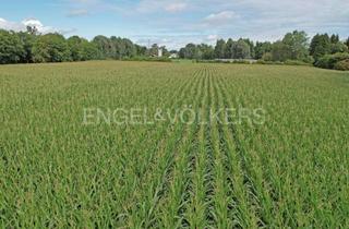 Grundstück zu kaufen in 85452 Moosinning, Spekulationsgrundstück im Grünen