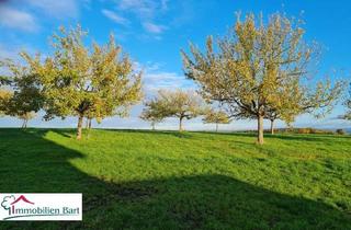 Grundstück zu kaufen in 54441 Kastel-Staadt, GRENZNÄHE: 5 AR BAUGRUNDSTÜCK IN TOP WOHNLAGE!