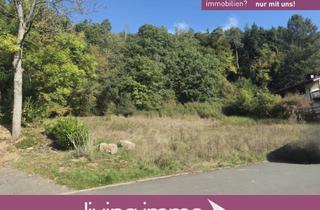 Grundstück zu kaufen in 35216 Biedenkopf, Großes Baugrundstück in Eckelshausen mit Baumbestand