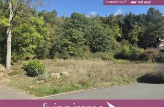 Grundstück zu kaufen in 35216 Biedenkopf, Großes Baugrundstück in Eckelshausen mit Baumbestand