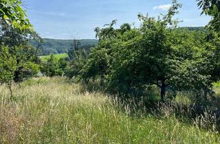 Grundstück zu kaufen in 91320 Ebermannstadt, Großzügiges Baugrundstück in Ortsrandlage von Niedermirsberg