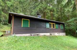 Grundstück zu kaufen in Scherrhalde, 78194 Immendingen, Wunderschöne Weitsicht auf Schwarzwald und Feldberg :-) Voll ausgestattete Hütte