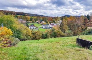 Grundstück zu kaufen in 64743 Beerfelden, Grundstück im Odenwald mit Doppelgarage vielfältige Nutzungsmöglichkeiten in Top Lage Provisionfrei!