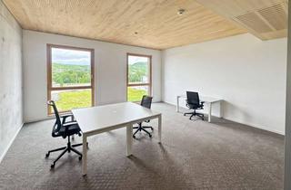 Büro zu mieten in Friedrich-Henning-Straße 17, 72555 Metzingen, Voll ausgestatteter privater Büroraum für Sie und Ihr Team in Regus Friedrich-Henning Straße