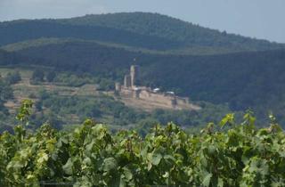 Gewerbeimmobilie kaufen in 67146 Deidesheim, Weinberg mit Genuss! Weinlage Bischofsgarten!
