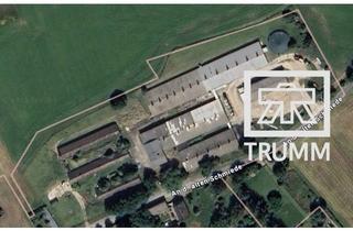 Gewerbeimmobilie kaufen in An Der Alten Schmiede, 04617 Treben, 19.884 m² Grundstück mit Hallen – ehemaliger Schweinezucht- und Mastbetrieb