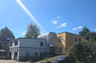 Mehrfamilienhaus kaufen in Bonnroder Weg, 99706 Sondershausen, Sondershausen-OT, MFH + Gewerbe